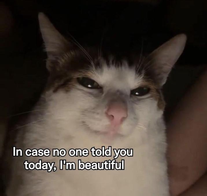 In case no one told you today, I'm beautiful
