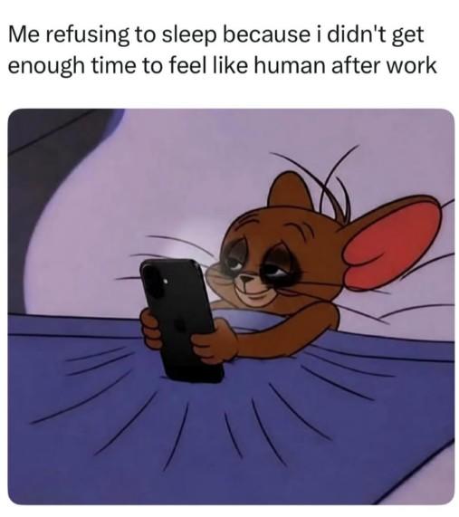 Me refusing to sleep because i didn't get enough time to feel like human after work