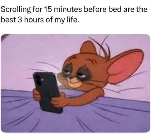 Scrolling for 15 minutes before bed are the best 3 hours of my life.