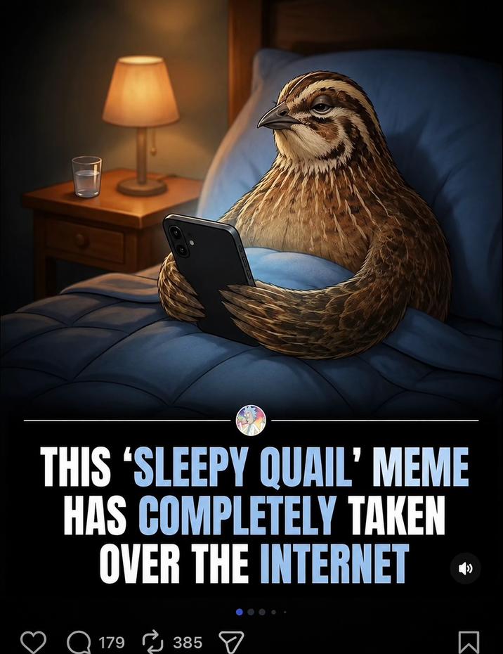 THIS 'SLEEPY QUAIL' MEME HAS COMPLETELY TAKEN OVER THE INTERNET Q 179 385 ☑ Σ
