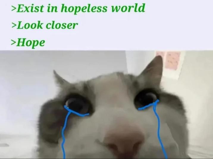 >Exist in hopeless world >Look closer >Hope