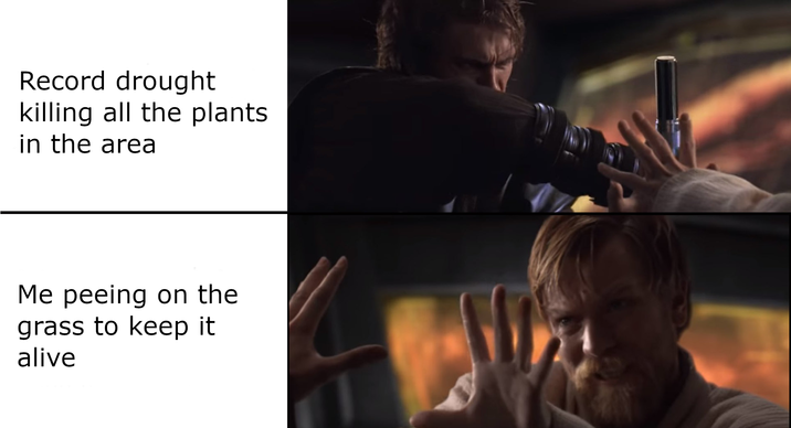 Record drought killing all the plants in the area Me peeing on the grass to keep it alive