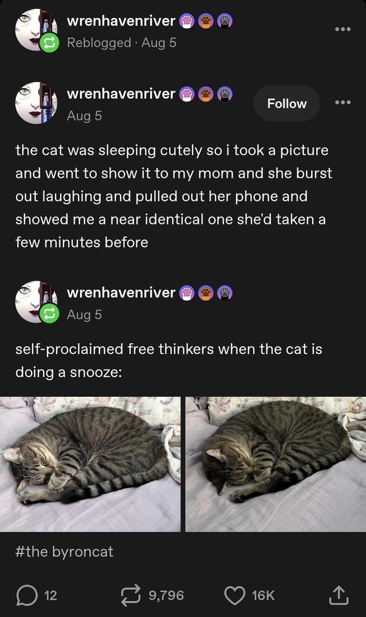 wrenhavenriver . Reblogged - Aug 5 wrenhavenriver Aug 5 Follow the cat was sleeping cutely so i took a picture and went to show it to my mom and she burst out laughing and pulled out her phone and showed me a near identical one she'd taken a few minutes before wrenhavenriver Aug 5 self-proclaimed free thinkers when the cat is doing a snooze: #the byroncat ☐ 12 9,796 16K ↑