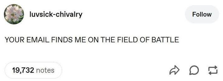 luvsick-chivalry YOUR EMAIL FINDS ME ON THE FIELD OF BATTLE 19,732 notes Follow on
