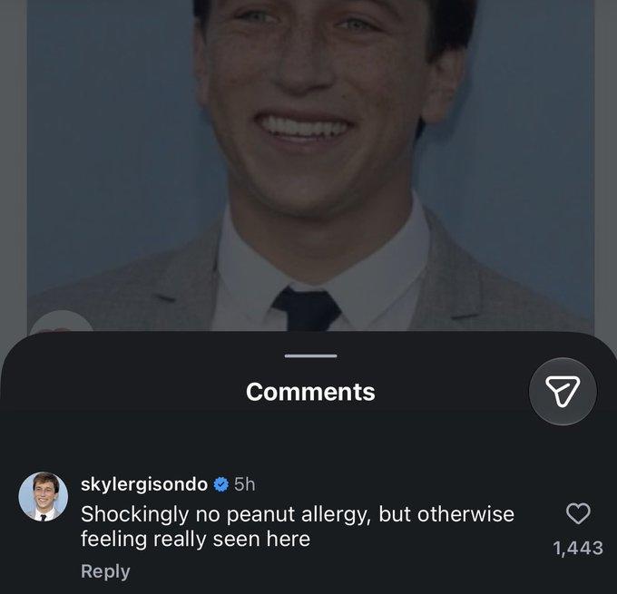 Comments skylergisondo ❤ 5h Shockingly no peanut allergy, but otherwise feeling really seen here Reply ☑ 1,443