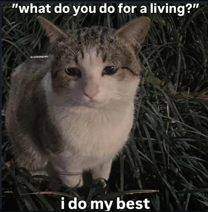"what do you do for a living?" Gcatsbelingcats i do my best