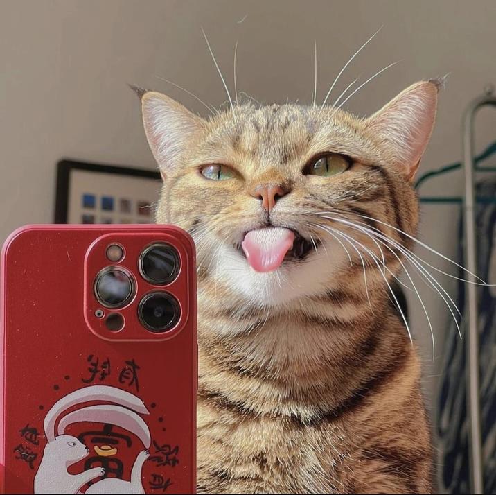 育 豬成