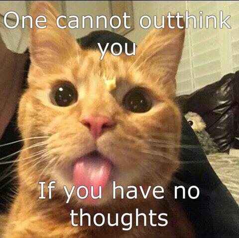 One cannot outthink you If you have no thoughts