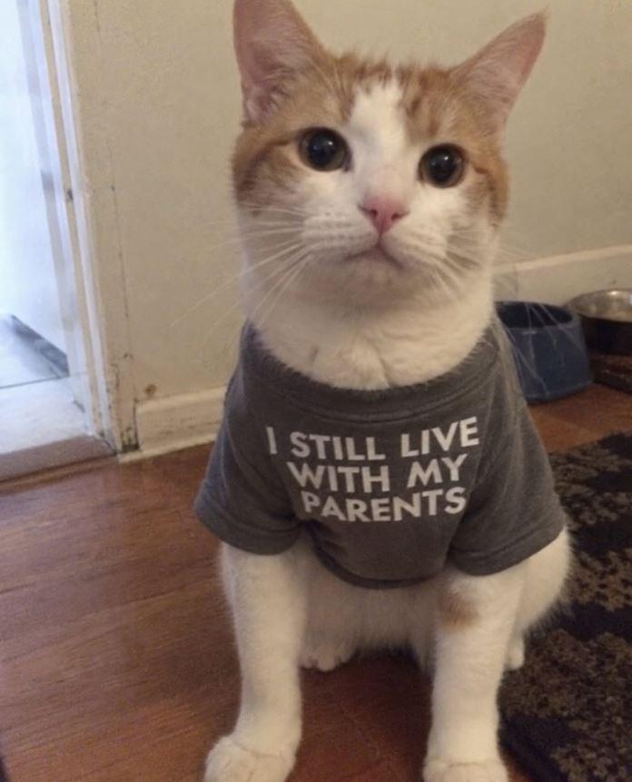 I STILL LIVE WITH MY PARENTS