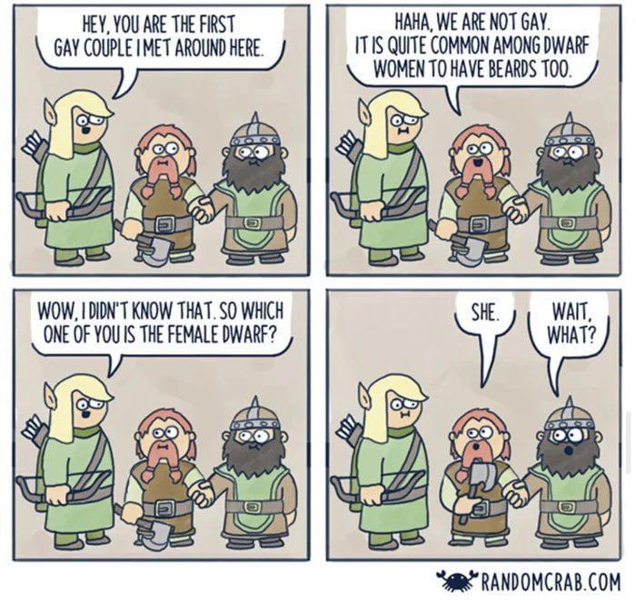 HEY, YOU ARE THE FIRST GAY COUPLE I MET AROUND HERE. HAHA, WE ARE NOT GAY. IT IS QUITE COMMON AMONG DWARF WOMEN TO HAVE BEARDS TOO. D WOW, I DIDN'T KNOW THAT. SO WHICH ONE OF YOU IS THE FEMALE DWARF? SHE. WAIT, WHAT? RANDOMCRAB.COM