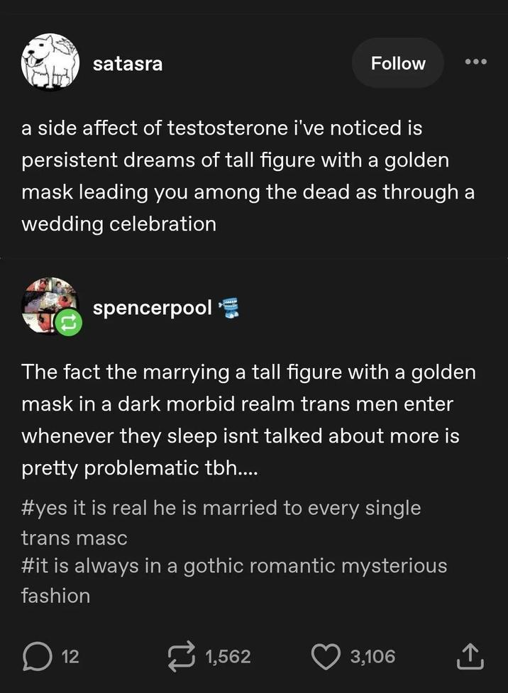 satasra Follow a side affect of testosterone i've noticed is persistent dreams of tall figure with a golden mask leading you among the dead as through a wedding celebration spencerpool The fact the marrying a tall figure with a golden mask in a dark morbid realm trans men enter whenever they sleep isnt talked about more is pretty problematic tbh.... #yes it is real he is married to every single trans masc #it is always in a gothic romantic mysterious fashion D ☐ 12 1,562 3,106 +]