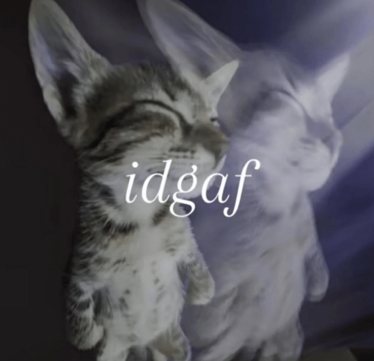 idgaf