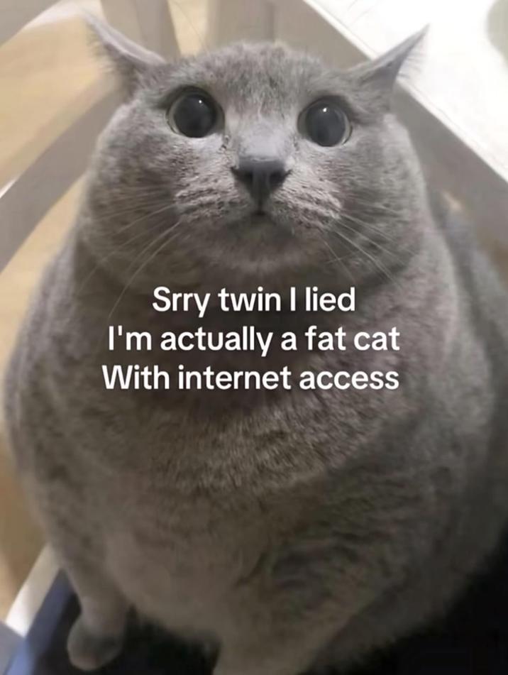 Srry twin I lied I'm actually a fat cat With internet access