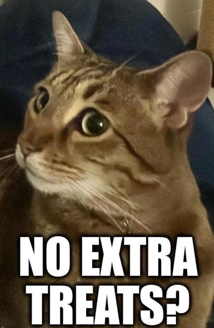 NO EXTRA TREATS?