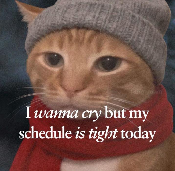 anciyawn I wanna cry but my schedule is tight today