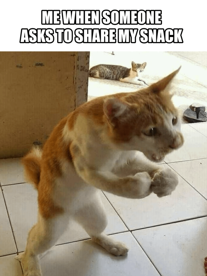 ME WHEN SOMEONE ASKS TO SHARE MY SNACK