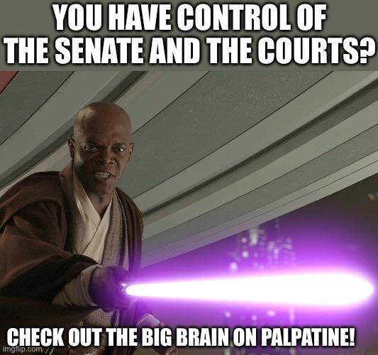 YOU HAVE CONTROL OF THE SENATE AND THE COURTS? CHECK OUT THE BIG BRAIN ON PALPATINE! imgflip.com