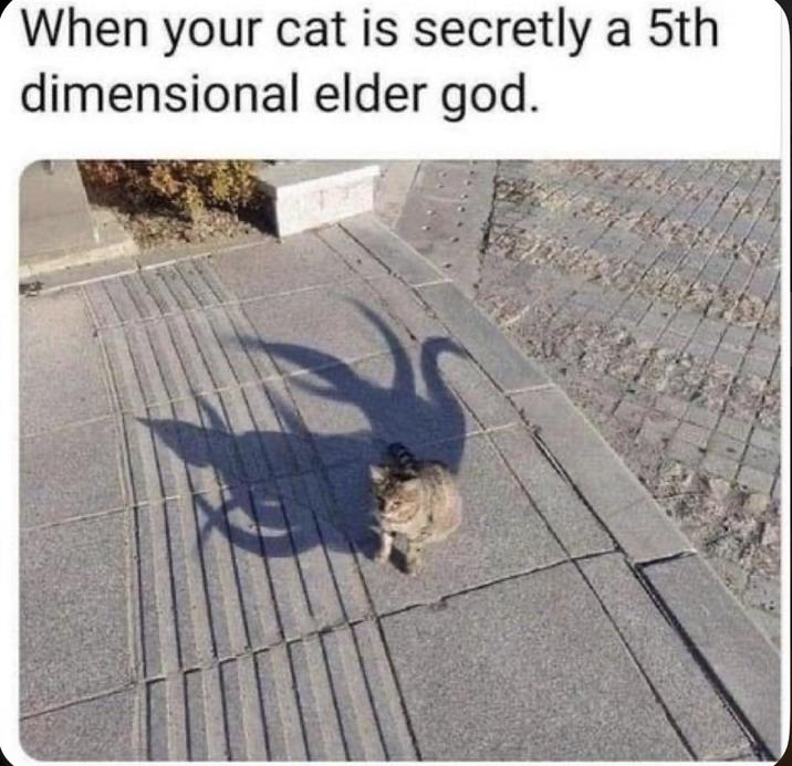 When your cat is secretly a 5th dimensional elder god.
