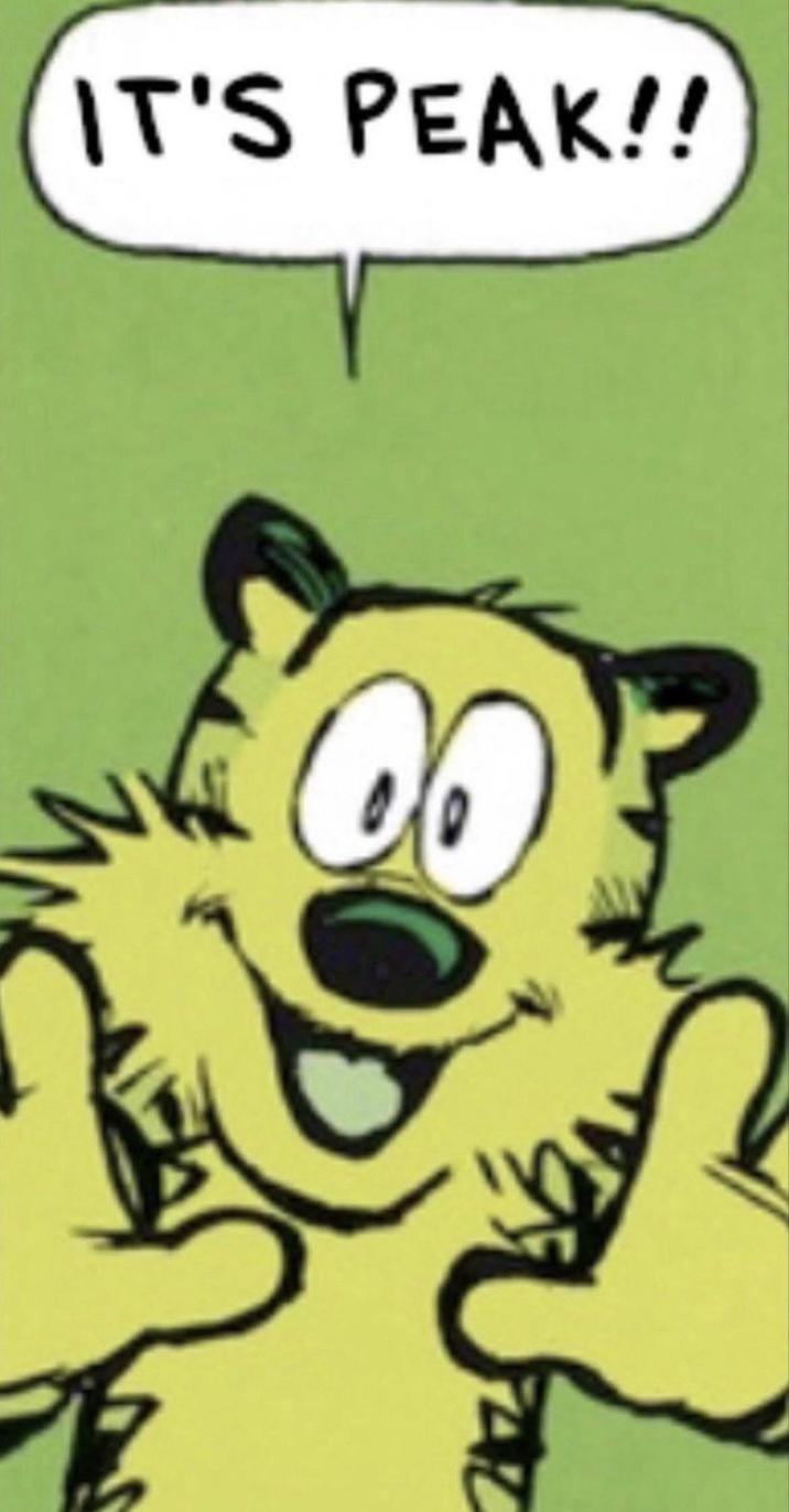 Recurring image used in response to posts on r/okbuddyrosalyn.
