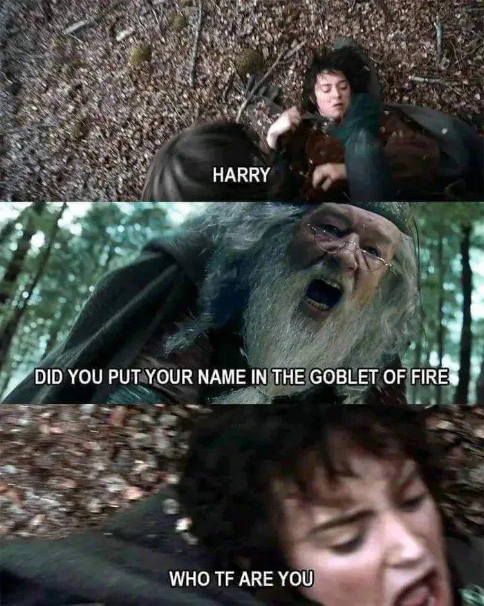 HARRY DID YOU PUT YOUR NAME IN THE GOBLET OF FIRE WHO TF ARE YOU