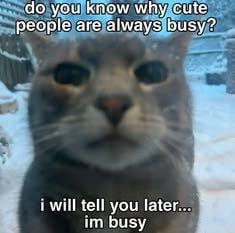 do you know why cute people are always busy? i will tell you later... im busy