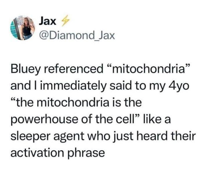 Jax 4 @Diamond Jax Bluey referenced "mitochondria" and I immediately said to my 4yo "the mitochondria is the powerhouse of the cell" like a sleeper agent who just heard their activation phrase