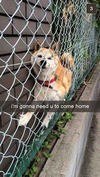 i'm gonna need u to come home 3
