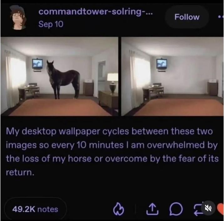 commandtower-solring-... Follow Sep 10 My desktop wallpaper cycles between these two images so every 10 minutes I am overwhelmed by the loss of my horse or overcome by the fear of its return. 49.2K notes