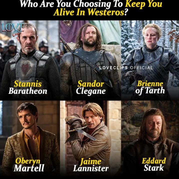 Who Are You Choosing To Keep You Alive In Westeros? LOVE LOVECLIPS OFFICIAL Stannis Baratheon Sandor Clegane Brienne of Tarth Oberyn Martell Jaime Lannister Eddard Stark