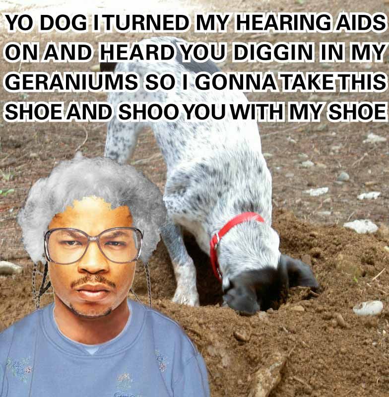 YO DOG ITURNED MY HEARING AIDS ONAND HEARD YOU DIGGIN IN MY GERANIUMS SOI GONNATAKETHIS SHOEAND SHOO YOU WITH MY SHOE