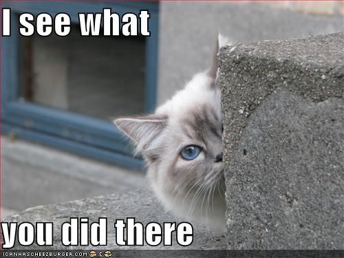 Image 676 I See What You Did There Know Your Meme