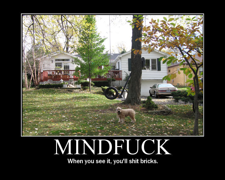 MINDFUCK When you see it, you'll s--- bricks
