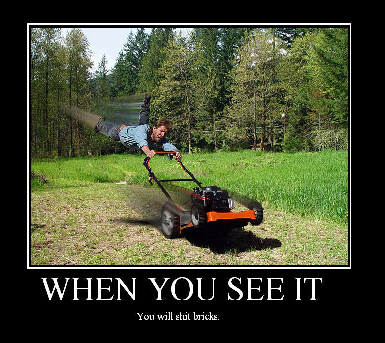 WHEN YOU SEE IT You will s--- bricks.