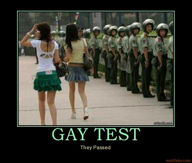 Are you gay test joi