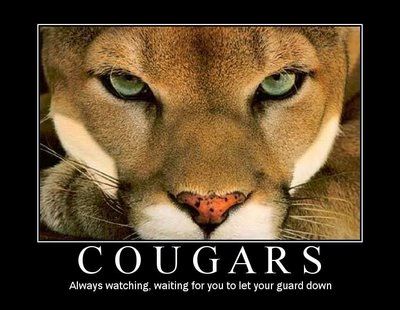 COUGARS Always watching, waiting for you to let your guard down