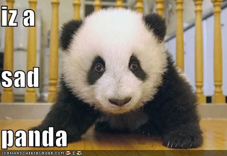 Sad Panda Image Gallery Know Your Meme Sad Panda Image Gallery Know Your Meme