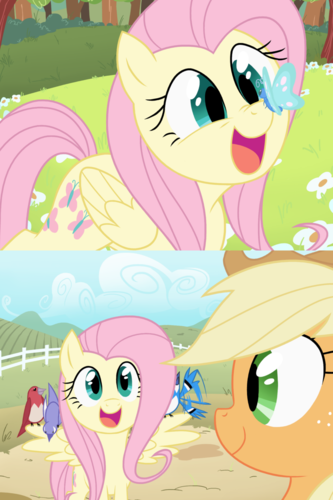 [Image - 358255] | My Little Pony: Friendship is Magic | Know Your Meme