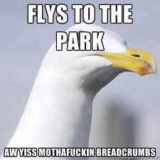FLYS TO THIE PARK AW YISS M---------- BREADCRUMBS
