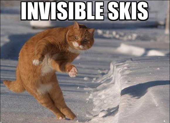 INVISIBLE SKIS