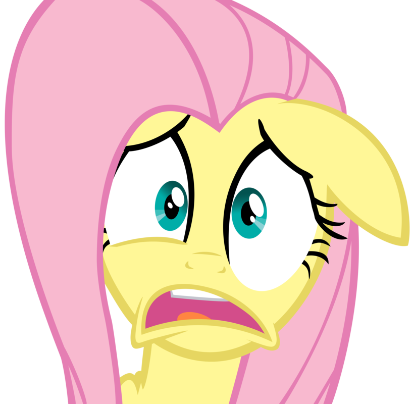[Image 398107] My Little Pony Friendship is Magic Know Your Meme