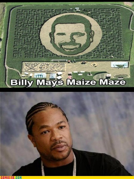 Billy Mays Maize Maze