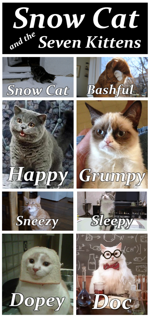 grumpy cat snow