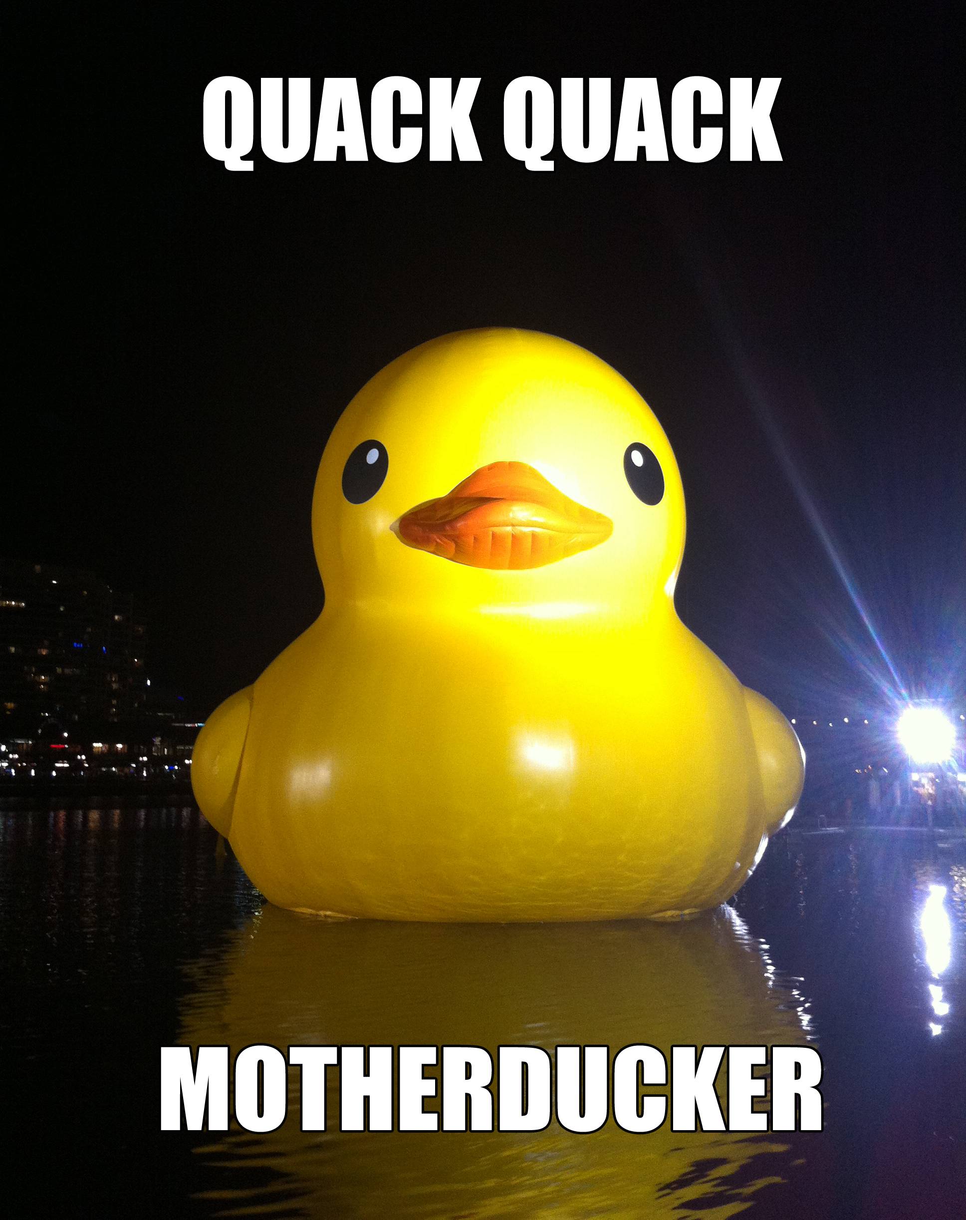 White Duck Memes