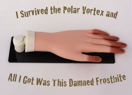 ar Yortex and I Survived the Polar ortex a All I Got Was This DamnedFsti