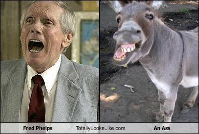 Fred Phelps TotallyLooksLike.com An Ass