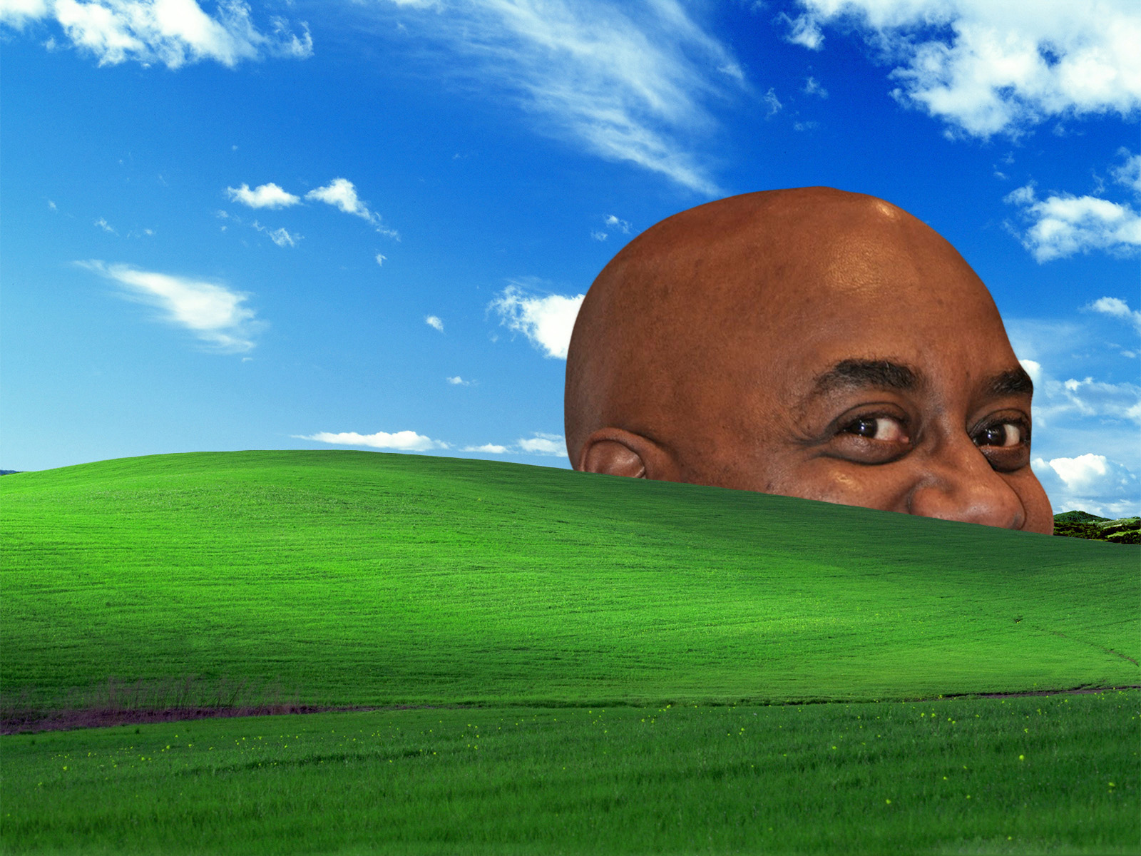 ainsley bliss windows xp bliss wallpaper know your meme ainsley bliss windows xp bliss