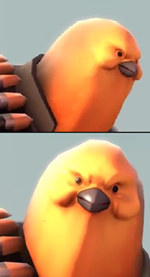 bird heavy team fortress