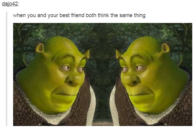 dajo42: when you and your best friend both think the same thing