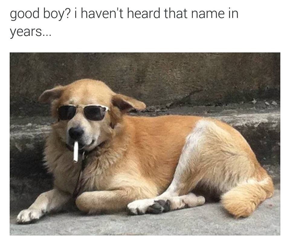 good boy? i haven't heard that name in years.