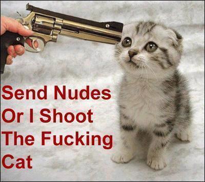 Send Nudes Or I Shoot The F Cat Send Nudes Know Your Meme